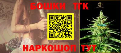 тгк Будённовск